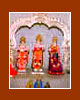 Quad City Hindu Temple - Online Puja - Lord Rama-Site Mata