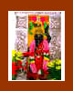 Quad City Hindu Temple - Online Puja - Lord Shrinathji